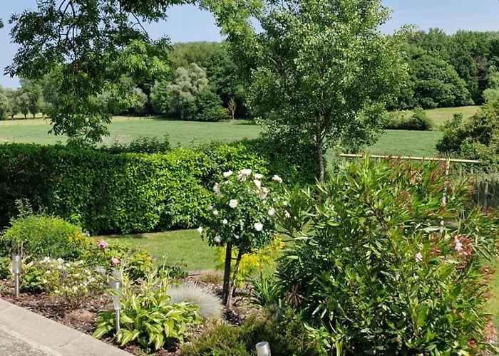 Le Du Mont De La Hutte *