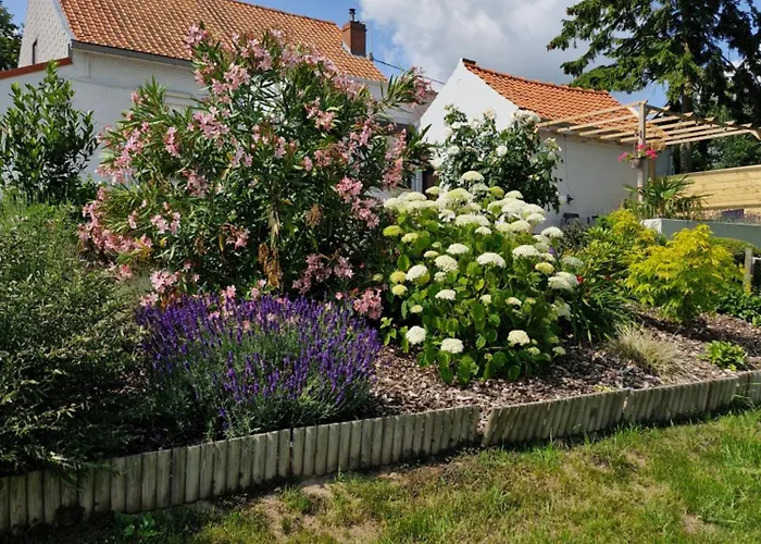 Hébergement de vacances Le Du Mont De La Hutte Ploegsteert